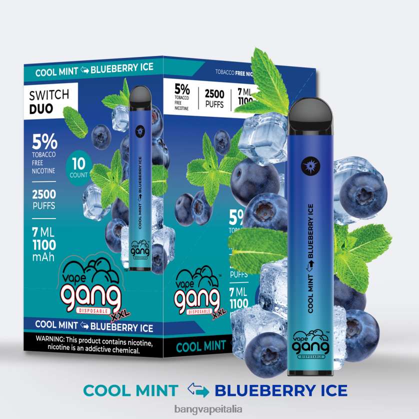 Vape Gang Disposables - Vape Gang Switch Duo 2 gusti (scatola da 10) menta fresca - ghiaccio al mirtillo V82J8J43