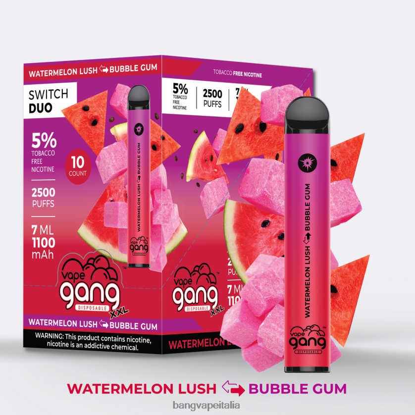 Vape Gang Shop - Vape Gang Switch Duo 2 gusti (scatola da 10) anguria rigogliosa - gomma da masticare V82J8J49