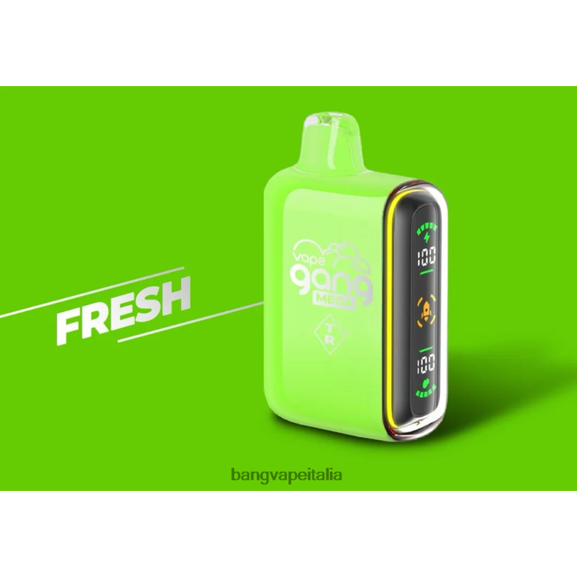 Bang Vape Italia - Vape Gang MEGA Vape usa e getta da 20.000 puff (scatola da 5) fresco V82J8J53