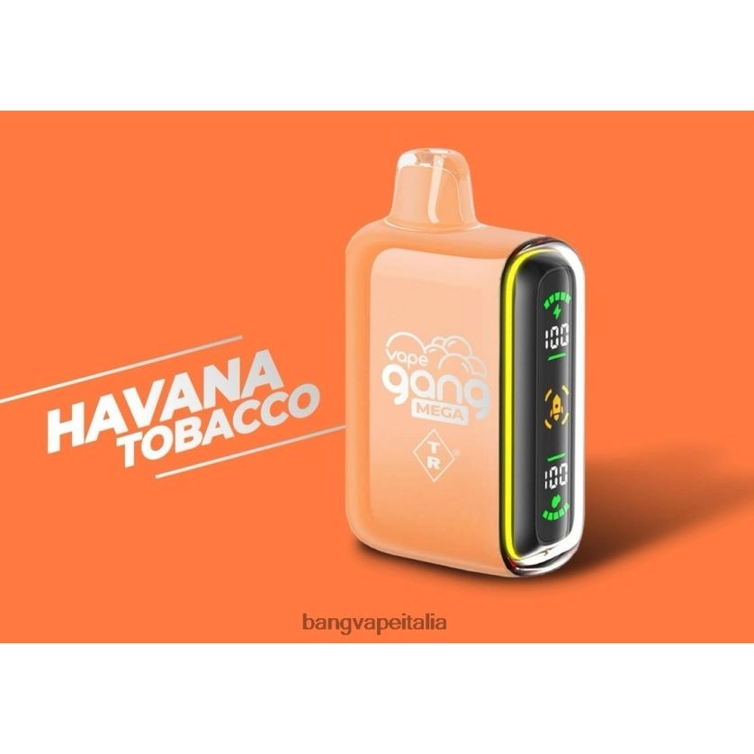 Vape Gang Disposables - Vape Gang MEGA Vape usa e getta da 20.000 puff (scatola da 5) tabacco avana V82J8J55