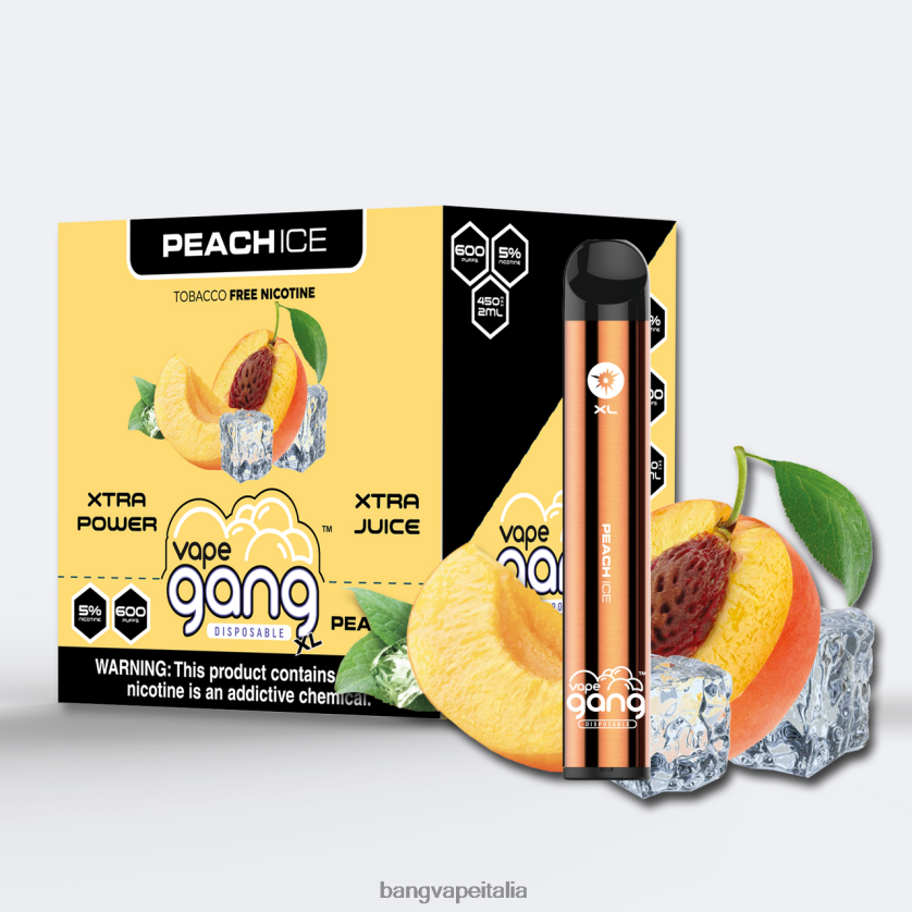 Bang Disposable Vape Review - Vape Gang XL vaporizzatori usa e getta 600 puff (scatola da 10) ghiaccio alla pesca V82J8J77