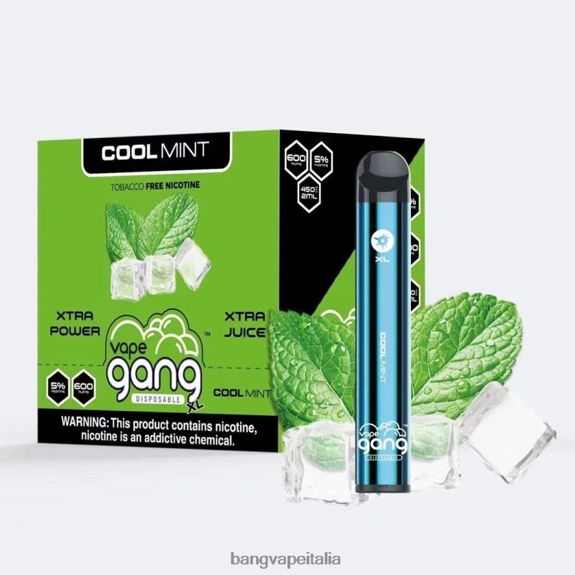 Bang Vape Disposable - Vape Gang XL vaporizzatori usa e getta 600 puff (scatola da 10) menta fresca V82J8J79