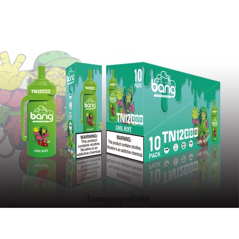 Bang Disposable Vape Review - Bang Vape TN12000 pod con bobina in rete monouso V82J8J5